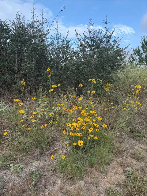 Other - 9420 Fm 355, Trinity, TX 75862 photo 13 of 16