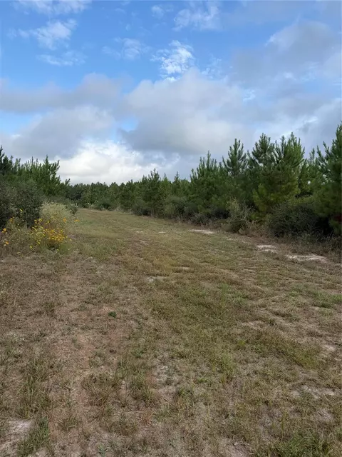 Other - 9420 Fm 355, Trinity, TX 75862 photo 14 of 16