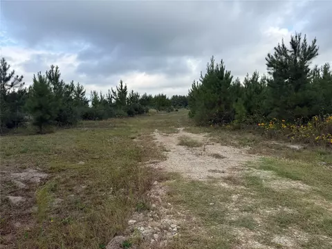 Other - 9420 Fm 355, Trinity, TX 75862 photo 12 of 16