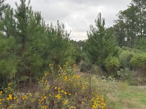 Other - 9420 Fm 355, Trinity, TX 75862 photo 11 of 16