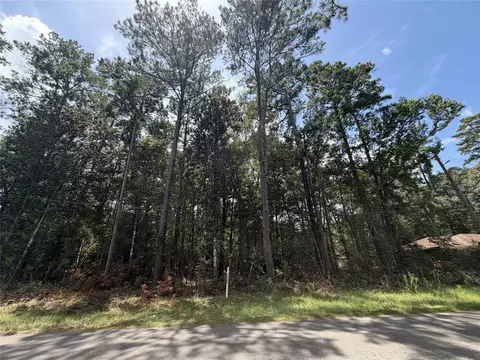 0 W Black Gum Dr, Village Mills, TX 77663