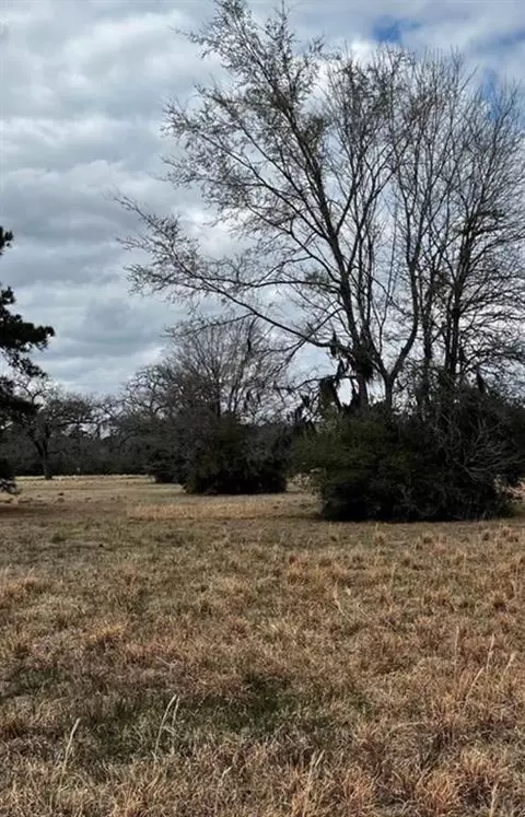 313 Dawns Edge, Trinity, TX 75862