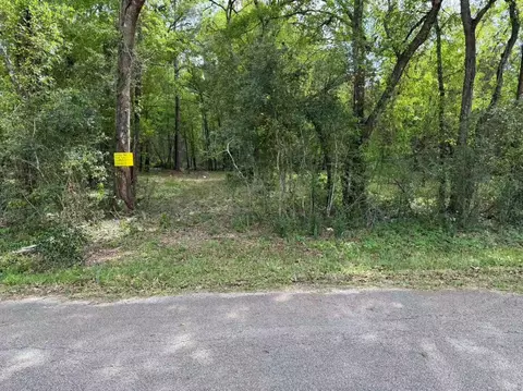 24820 Marks Rd, Splendora, TX 77372 photo 4