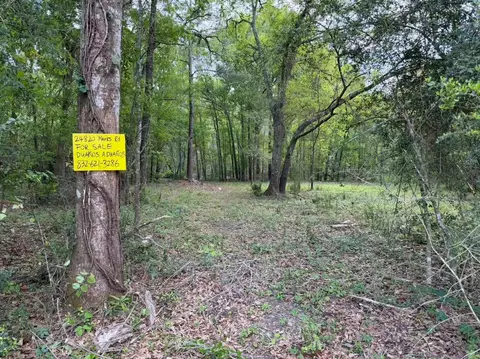 24820 Marks Rd, Splendora, TX 77372 photo 2
