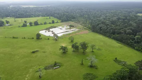 View/Area - 2760 Stringtown Rd, Shepherd, TX 77371 photo 8 of 17