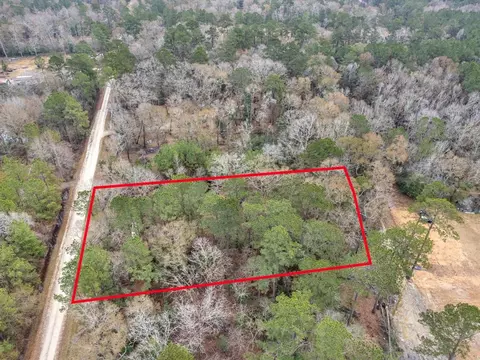 321 Pine Valley Dr, Shepherd, TX 77371 photo 1
