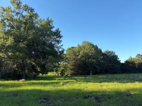 289 County Road 261, Oakwood, TX 75855