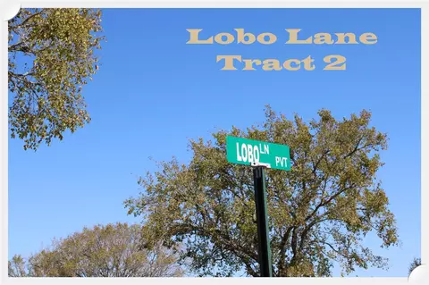 Parcel 2 Lobo Lane, Columbus, TX 78934