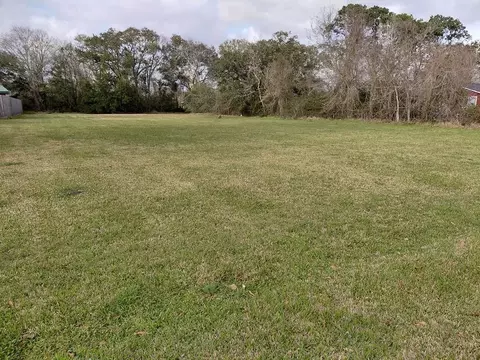 0 Hoelewyn Dr, Angleton, TX 77515