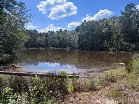 16111 County Rd, Grapeland, TX 75844