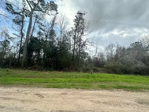 0 Redbud Dr, Conroe, TX 77302 photo 10