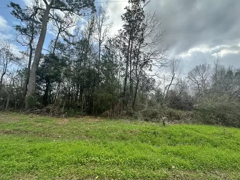0 Redbud Dr, Conroe, TX 77302