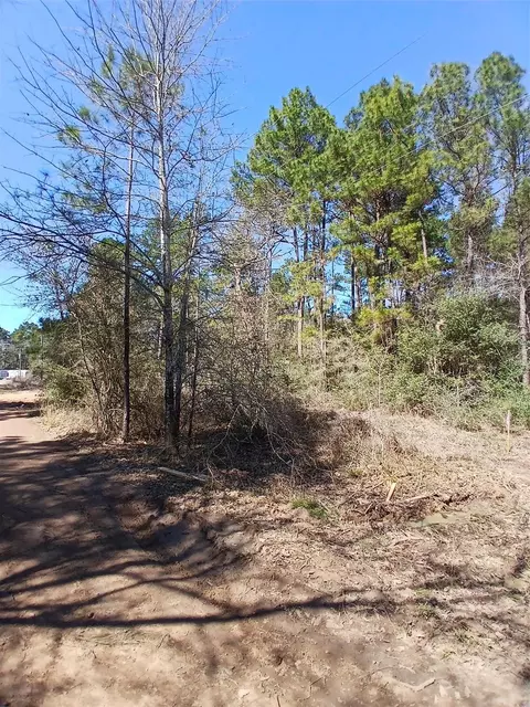 7886 Coral Bean Ln, Plantersville, TX 77363