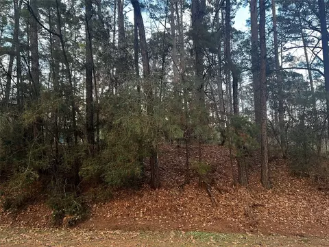 26 Sunny Hill Dr, Coldspring, TX 77331