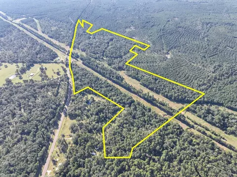 01 Fm 247, Huntsville, TX 77320