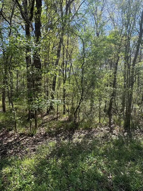 tbd Cr 2505, Liberty, TX 77575