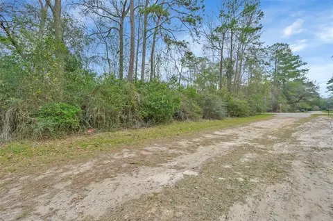000 Willow Dr, Conroe, TX 77302 photo 3