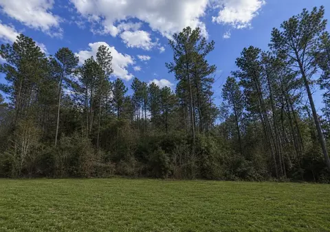10711 Ruger Rd, Willis, TX 77378 photo 5