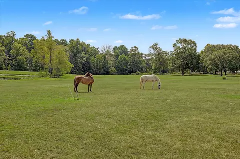 Other - 8988 County Line Rd, Willis, TX 77378 photo 8 of 17