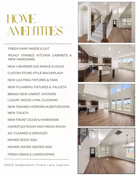 Other - 20522 Saddleback Chase Ln, Cypress, TX 77433 photo 14 of 14