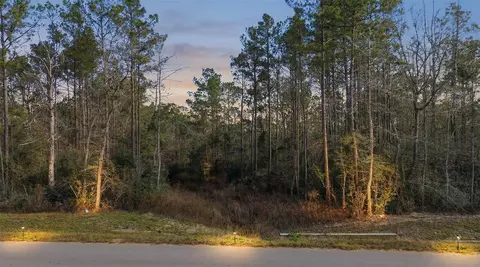 10733 Ruger Rd, Willis, TX 77378