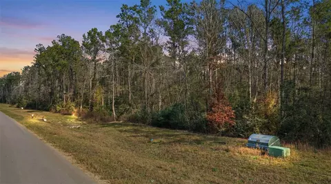 10733 Ruger Rd, Willis, TX 77378 photo 2