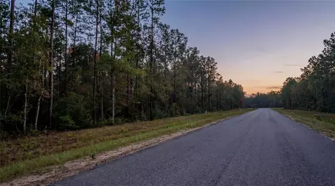10733 Ruger Rd, Willis, TX 77378 photo 5