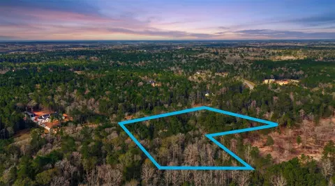 10733 Ruger Rd, Willis, TX 77378 photo 16