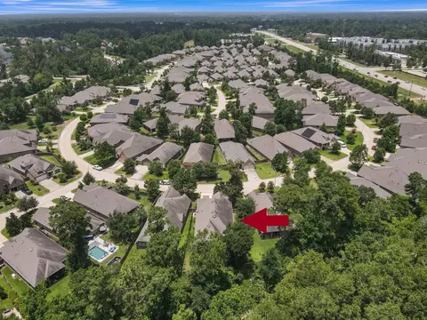 View/Area - 269 Trillium Park Loop, Conroe, TX 77304 photo 4 of 7