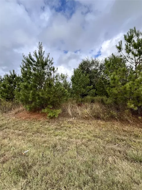 499 County Road 5017, Cleveland, TX 77327