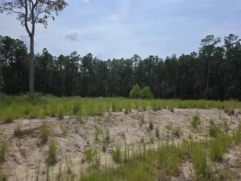139 Rayburn Reserve Dr, Jasper, TX 75931