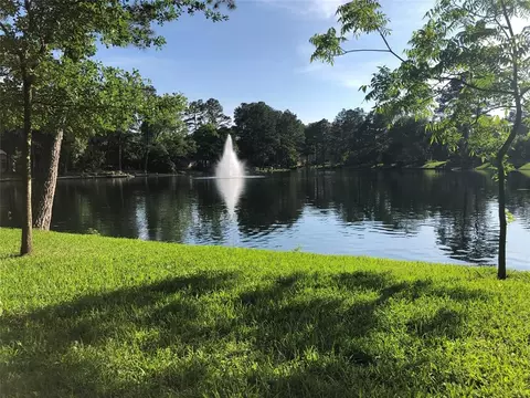 25915 Overlake Dr, Spring, TX 77380 photo 1