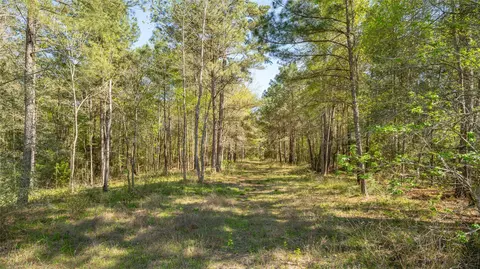 000 Bighorn Rd, Huntsville, TX 77358