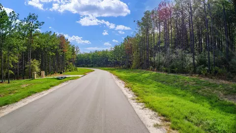10886 Ruger Rd, Willis, TX 77378 photo 23