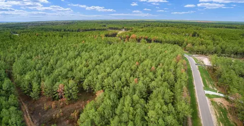 10886 Ruger Rd, Willis, TX 77378 photo 19