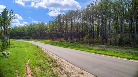 10886 Ruger Rd, Willis, TX 77378 photo 24