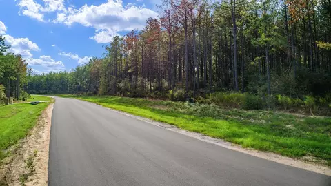 10886 Ruger Rd, Willis, TX 77378 photo 25