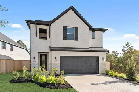 26133 N Skylight Brook Cir, Montgomery, TX 77316