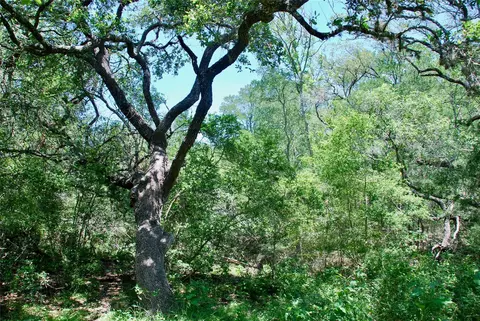 Other - 2116 Langdon Rd, Weimar, TX 78962 photo 31 of 39