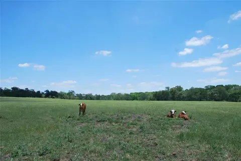 Other - 2116 Langdon Rd, Weimar, TX 78962 photo 38 of 39