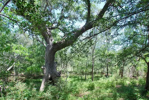 Other - 2116 Langdon Rd, Weimar, TX 78962 photo 20 of 39