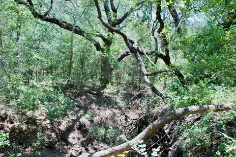 Other - 2116 Langdon Rd, Weimar, TX 78962 photo 30 of 39