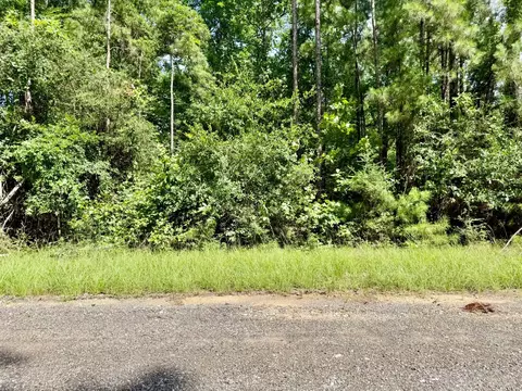 tbd Spring Creek Dr, Coldspring, TX 77331
