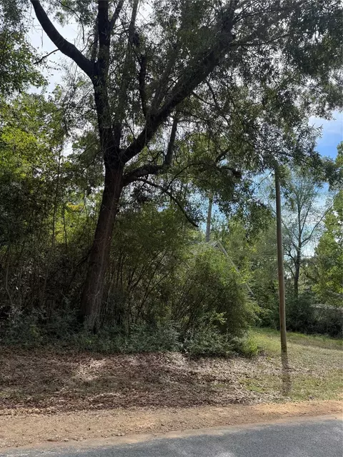 tbd Sequoia Ln, Onalaska, TX 77360 photo 4