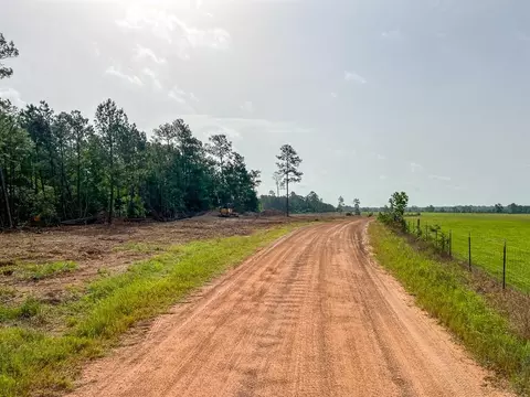 3 Old Salem Church Rd, Willis, TX 77378 photo 4