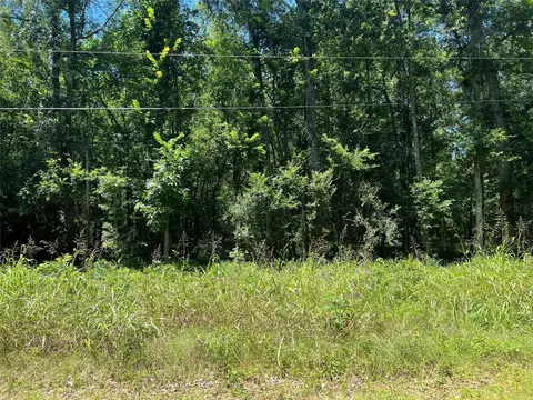 000 Holt St, Coldspring, TX 77331
