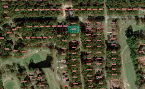 0000 W Wildwood Dr, Village Mills, TX 77663