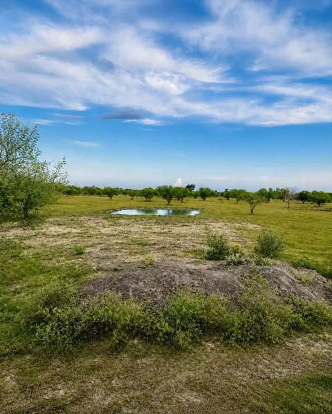 13510 Moody Rd, Needville, TX 77461