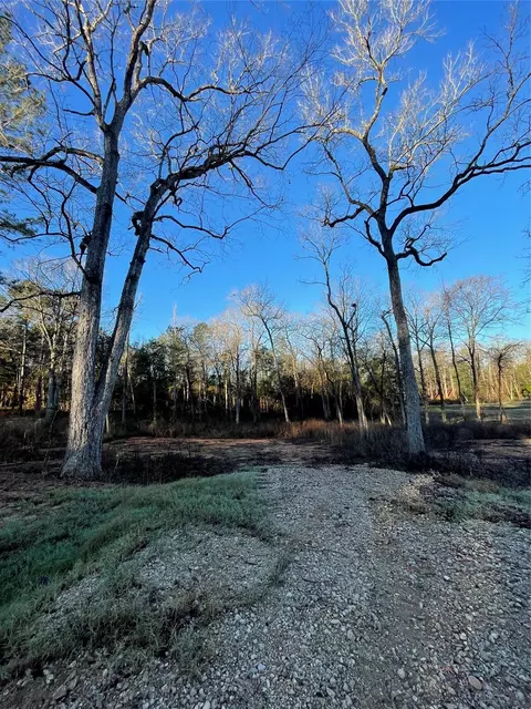 11357 Annie Creek Dr, Willis, TX 77378
