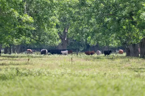 2640 County Road 107, Boling, TX 77420